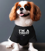 1 black Pet T-Shirt white I'M A VIRGIN (But this is an old shirt) #color_black