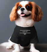 1 black Pet T-Shirt white YOUR BOYFRIEND LIKES MY INSTAGRAM STORIES #color_black