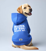 1 blue Pet Hoodie white BLINK IF YOU WANT ME #color_blue
