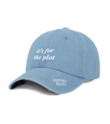 1 blue Vintage Cap white it's for the plot #color_blue