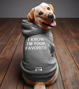 1 grey Pet Hoodie white I KNOW I'M YOUR FAVORITE #color_grey