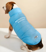 1 lightblue Pet Puffer Jacket white Your boyfriend is a great kisser! #color_lightblue