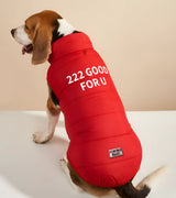 1 red Pet Puffer Jacket white 222 GOOD FOR U #color_red