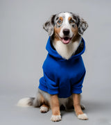 3 blue Pet Hoodie Front #color_blue