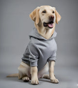 3 grey Pet Hoodie Front #color_grey